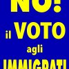 I Manifesti Lega Nord - 2003